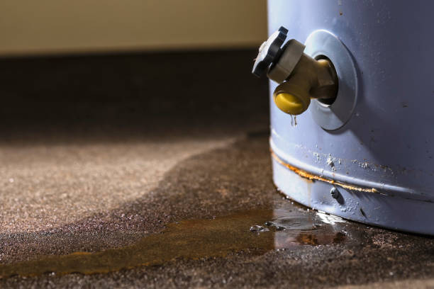Best Water damage restoration insurance claims  in Peru, IL