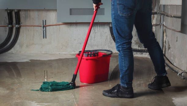 Best Flooded house restoration  in Peru, IL