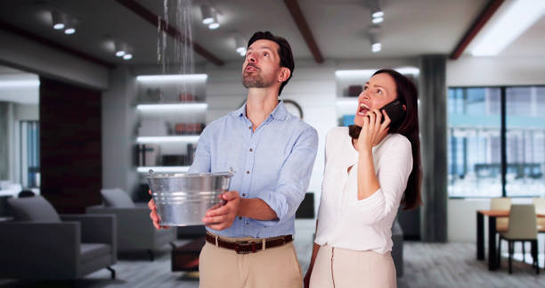 Best 24/7 water damage repair  in Peru, IL