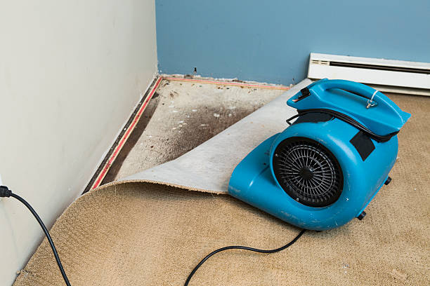  Peru, IL Water damage restoration Pros